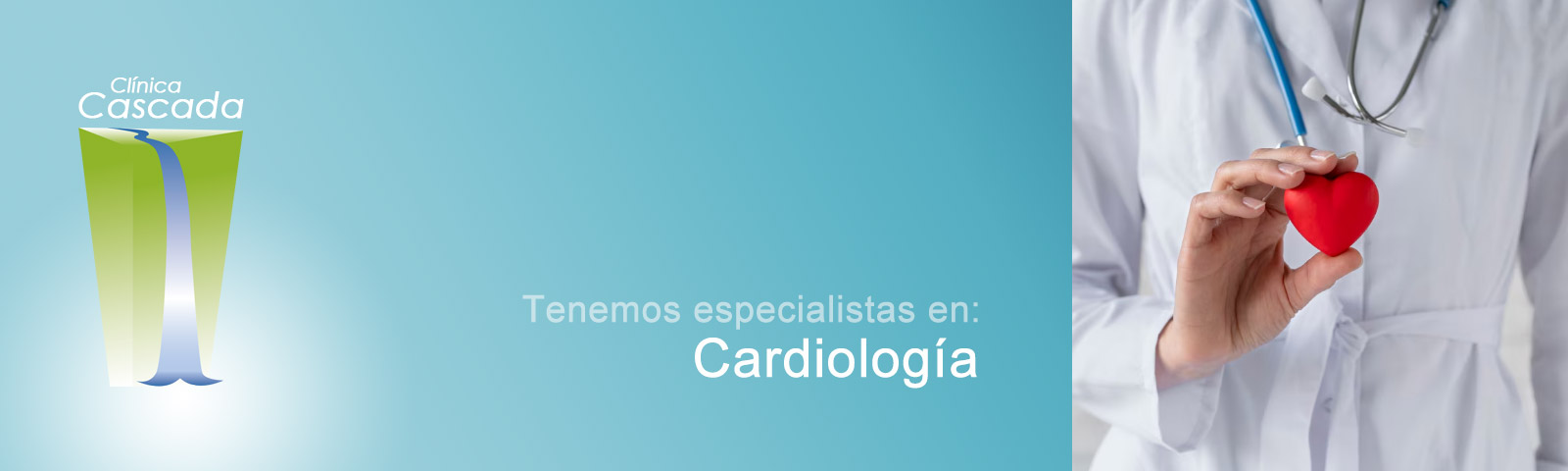Especialistas en Cardiología
