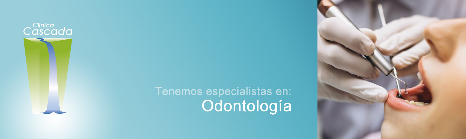 Especialistas en Odontología